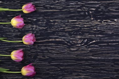 koyu ahşap arka plan üzerinde pembe laleler