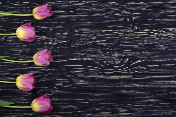 Tulipanes rosados sobre fondo de madera oscura Imagen De Stock