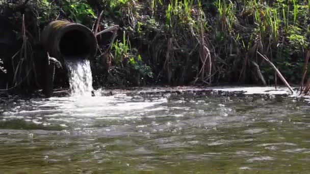 Wasser läuft aus Regenwasserrohr in einen See. — Stockvideo