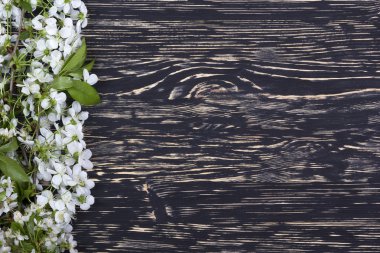 Kiraz ahşap tahta üzerinde Şubesi çiçeklenme.