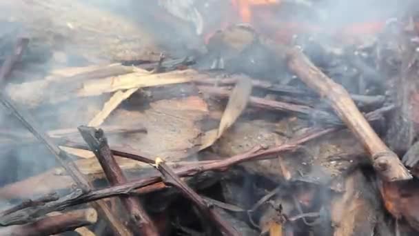 Brennende Äste. Natürlicher Prozess der Verbrennung von Holz. — Stockvideo