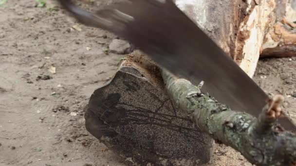 Homem corte de madeira com uma serra de mão — Vídeo de Stock