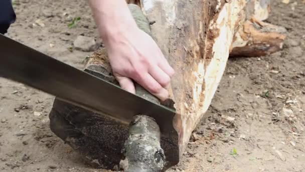 Homem corte de madeira com uma serra de mão — Vídeo de Stock