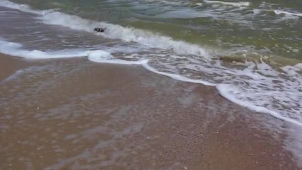 Vågorna tvätt på stranden — Stockvideo