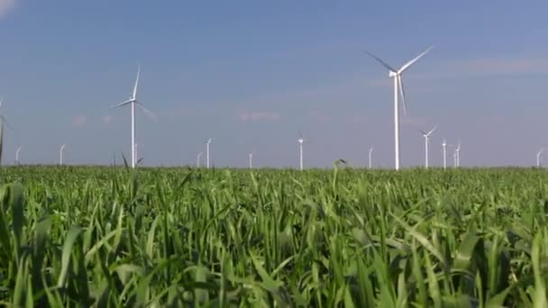 Windturbines tegen de blauwe lucht — Stockvideo