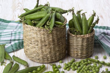 Taze organik yeşil bezelyeler sepette.