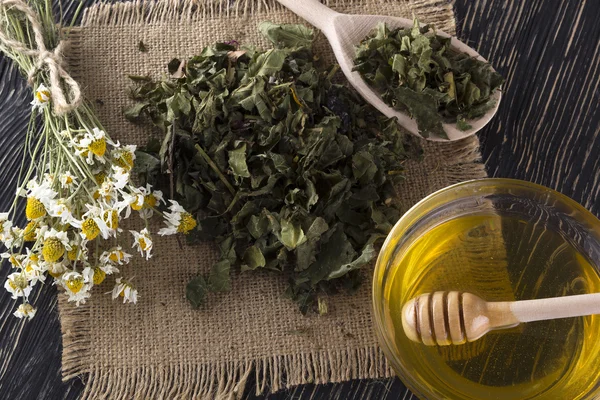 Herbal tea, honey and chamomile. — Stock Photo, Image
