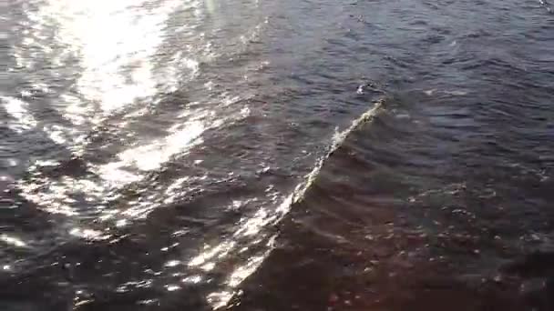 Increíble de cerca la textura de la naturaleza de ondulación corriendo en el agua . — Vídeos de Stock