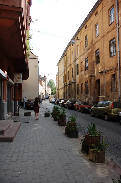 Lviv dar sokak