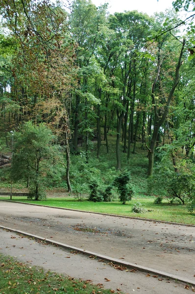 Parkta yürüyüş yolu