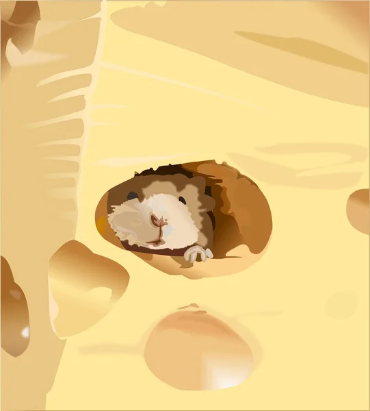 Ratón, queso — Vector de stock