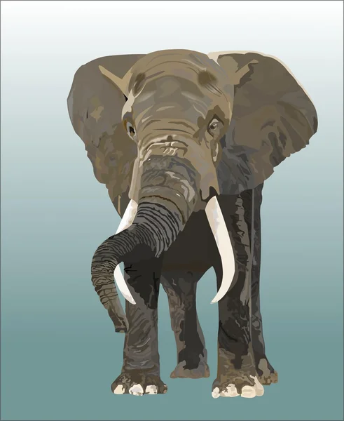 Elefante Ilustraciones De Stock Sin Royalties Gratis