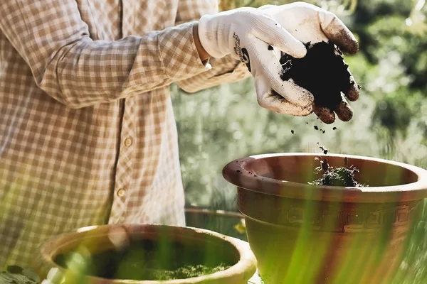 Spring gardening. Hands in gloves plant a flower bulb and pours the ground in ceramic flower pot on wooden table. Home gardening. Defocused foreground — Stock Image Spring Gardening Hands Gloves Plant Flower Bulb Pours Ground Ceramic Royalty Free Stock Images
