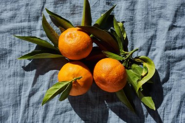 Mandalina ya da portakal, mandalina, turunçgiller, pastel mavi tekstil arka planında yeşil yapraklı narenciye meyveleri.