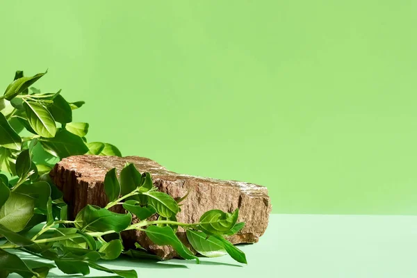 Yaprak gölgeli doğal taş podyum. Yumuşak yeşil arka planda ürün sunumu. Kozmetik ya da güzellik ürünü tanıtım modası minimalist modelleme.