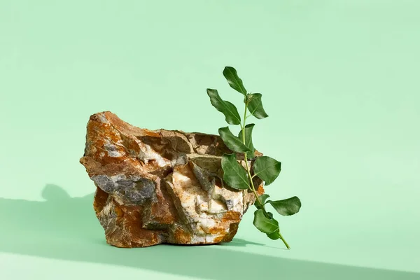 Yaprak gölgeli doğal taş podyum. Yumuşak yeşil arka planda ürün sunumu. Kozmetik ya da güzellik ürünü tanıtım minimalist modelleme.