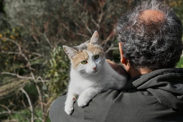 Rear view of mature man walking in a park with a cat on his shoulder.