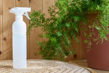 Temiz suyla birlikte beyaz plastik şişe spreyi ya da bitkiler için sıvı gübre. Kapalı bir bahçe. Evde yeşillik.