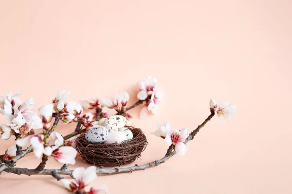 Stylish easter eggs with spring sprigs and feathers in the nest on light pink pastel background. Happy Easter. Greeting card template. Space for text.