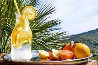Yaz tazelenmiş limon kokteyli, buzlu ve olgun biyo turunçgiller, doğa arka planında çelik tepside. Organik Sicilya portakalları