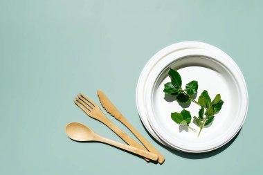 Çevre dostu bambu çatal bıçak seti ve açık yeşil pastel arka planda biyolojik çözünebilir plakalar. Sıfır atık, plastiksiz yaşam tarzı konsepti.