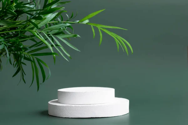 Beyaz alçıtaşı silindir podyumları ürün sunumu için pastel yeşil arkaplandaki palmiye yapraklarını sergiler. Soyut kaide. Kozmetik ya da güzellik ürünü tanıtım modası minimalist modelleme