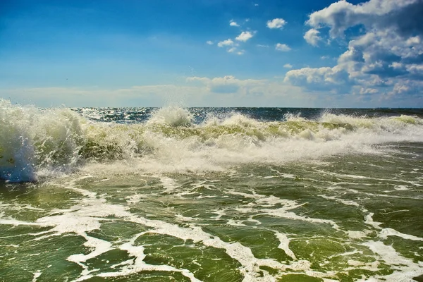 Los grandes velos en la orilla del mar — Foto de Stock