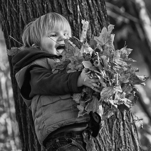 Ragazzo che gioca con le foglie in un parco — Foto Stock