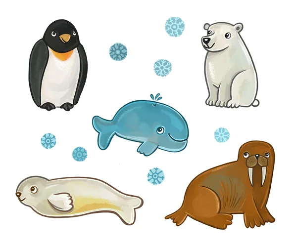 Colección de animales del Norte: el oso polar, foca, pingüino, morsa, ballena — Foto de Stock