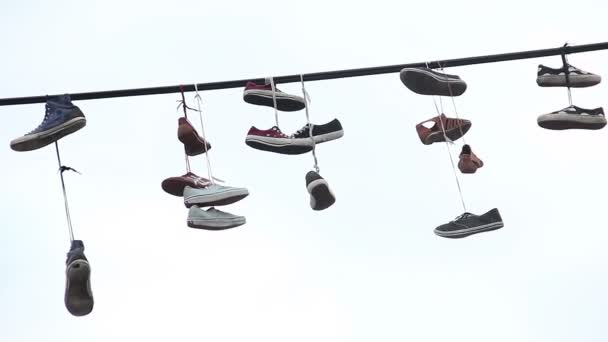 Sneakers lignes électriques — Video