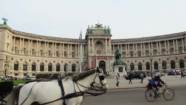 Groene gazon Heldenplatz — Stockvideo