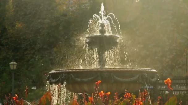 Fontaine dans parc de la ville — Video