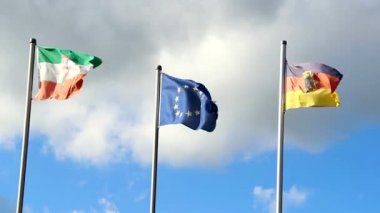 Almanya ve Avrupa Birliği bayrakları sallayarak