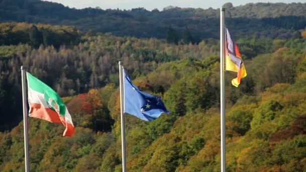 Drapeaux de l'Allemagne et de l'Union européenne — Video