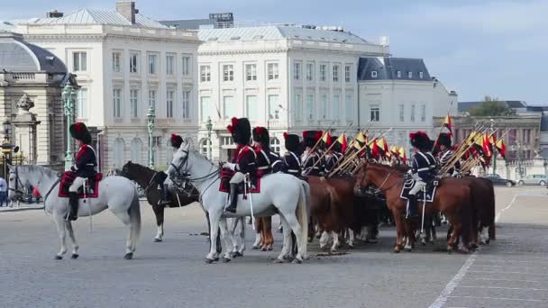 Cavalaria belga em desfile — Vídeo de Stock