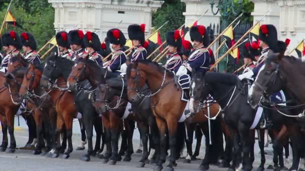Βελγική ιππικού στην παρέλαση — Αρχείο Βίντεο