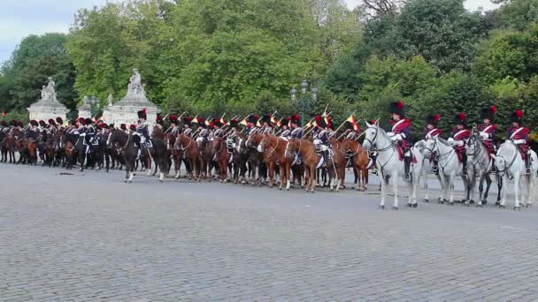 Belgian cavalry on parade — Stock Video