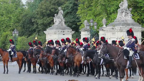 Бельгийская кавалерия на параде — стоковое видео
