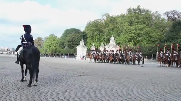 Belgiska kavalleri på parad — Stockvideo