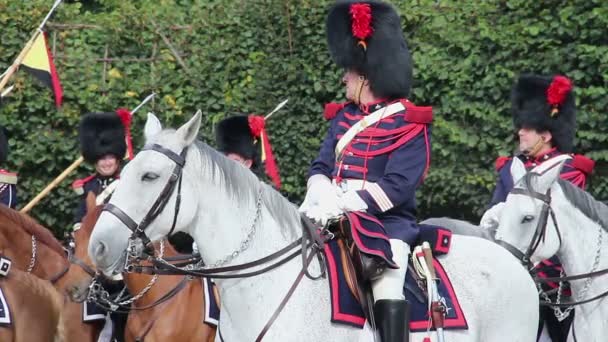 Belgische cavalerie op parade — Stockvideo