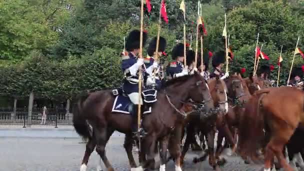 Belgiska kavalleri på parad — Stockvideo