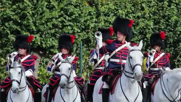 Бельгийская кавалерия на параде — стоковое видео