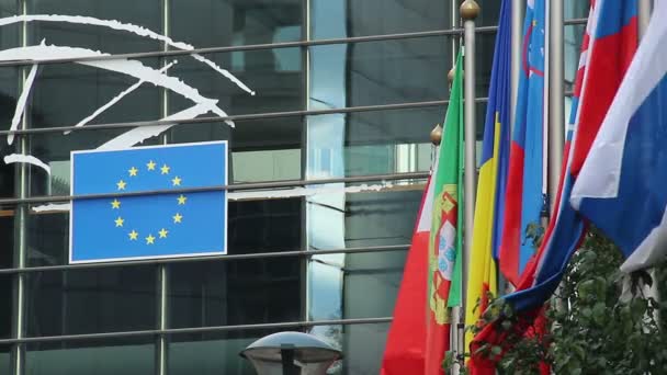 Flaggen der Europäischen Union — Stockvideo