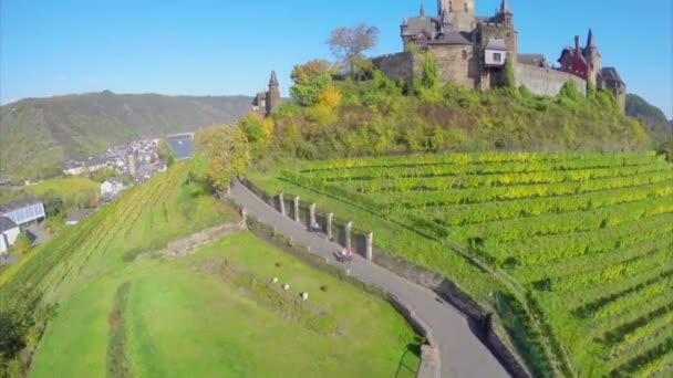 Castelo de fadas no vale verde — Vídeo de Stock