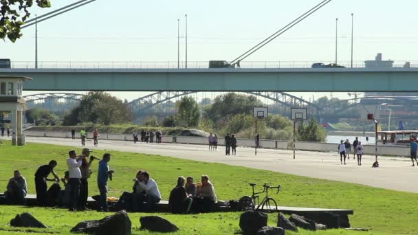 Les gens boivent de la bière à Cologne — Video