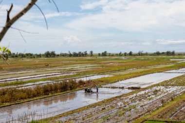 Güzel, geniş bir arazi.