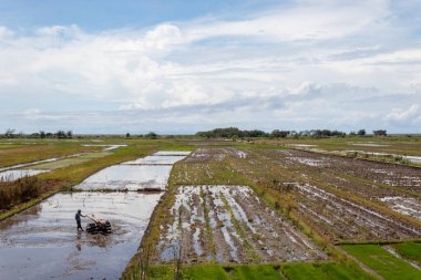 Açık gökyüzü olan bir pirinç tarlası