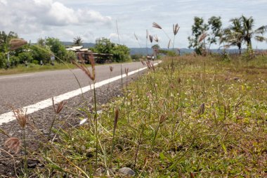 Çayırdaki sıcak yol