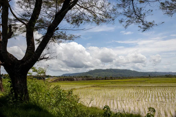 Greenfields Overspoeld Met Water — Stockfoto