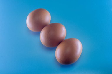3 chicken eggs in a row on a blue background